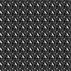 Black And White Flying Birds A