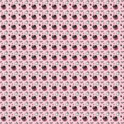 Black Cat And Pumpkin