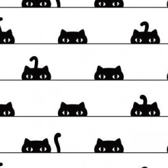 Peeping Black Cat With Big Eye