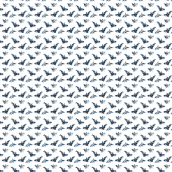 Killer Whales Swimming Freely