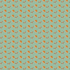 Butterflies Spreading Their Wi