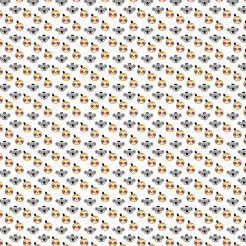 Big Heads Of Koalas And Sloths