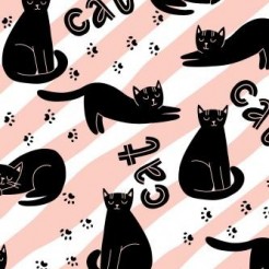 Lazy Posture Black Cat