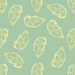 Monstera Leaves
