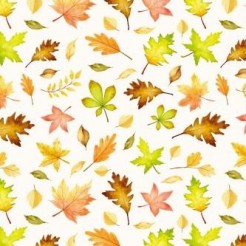 Elegant Autumn Leaves