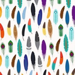 Various Feathers