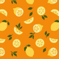 Fresh Lemon Slices