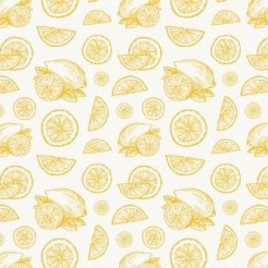 Hand Drawn Sliced Lemon