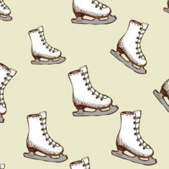 Professional Skate Boots