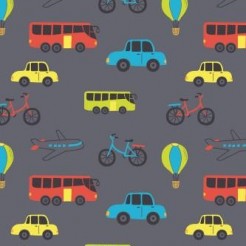 Common Means Of Transportation
