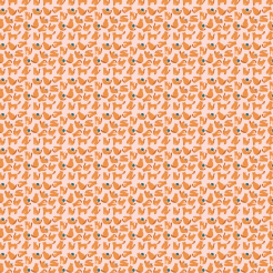 Cute Cat Who Loves To Play