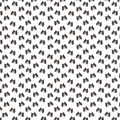 Smiling Shepherd Dog