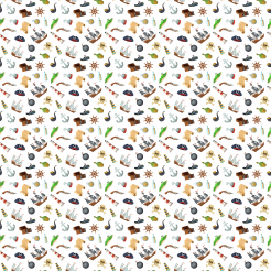 Cartoon Pirate Elements