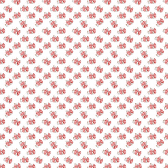 Kitten With Giant Bow