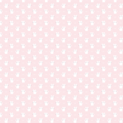 White Mouthless Kitten