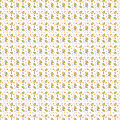 Turtle Celebrates Birthday