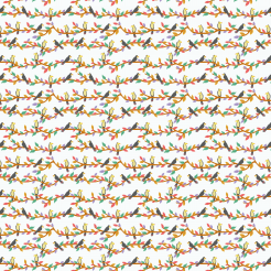 A Flock Of Cute Toucans