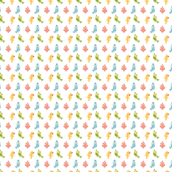 Colorful Parrot With Confused 