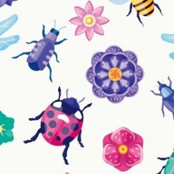 Various Colorful Insects