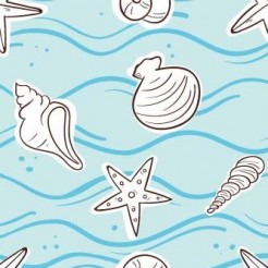 Simple Shell Starfish