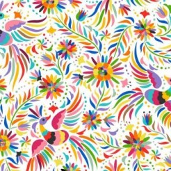 Beautiful Colorful Bird