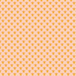 Slow Crawling Turtle