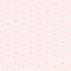 Pink And Cute Strawberry Rabbi