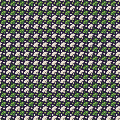 Two-color Cauliflower