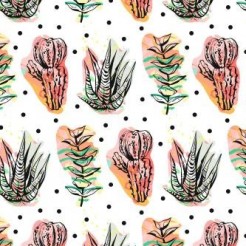 Tenacious Succulents