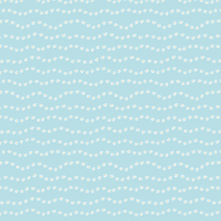 Cute Little White Flowers