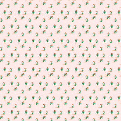 Beautiful And Cute Tooth Fairy