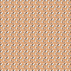 Cute And Lively Seagull