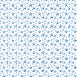 Hand Drawn Starfish And Shells