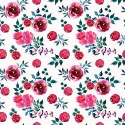 Blooming Noble Peonies