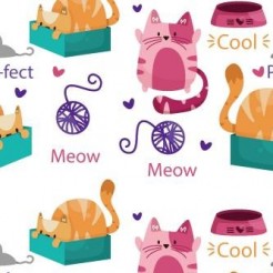 Cute Cardboard Box Cat