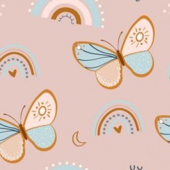 Rainbow And Butterfly