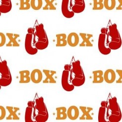 Fierce Boxing Gloves