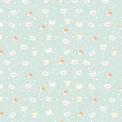 Cute And Adorable Cats