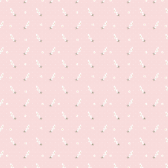 White Beautiful Flowers