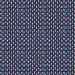 Friendly Christmas Elf