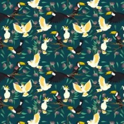 Toucans And Parrots