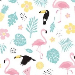 Toucan And Flamingo