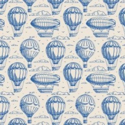 Hot Air Balloon And Flying Boa