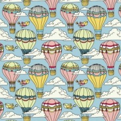 Gorgeous Hot Air Balloon And B