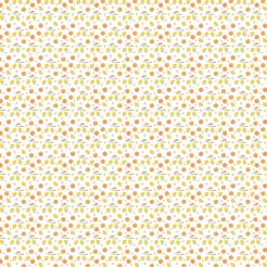 Hand-drawn Citrus Fruits