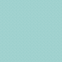 Birthday Hat Bird And Rainbow 