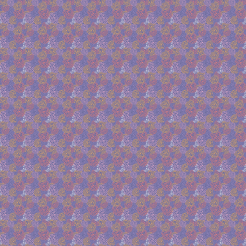 Colorful Lines Of Flowers