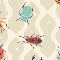 Colorful Varieties Of Insects