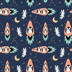 Carrot Rocket