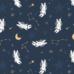 Stars And Space Bunny
